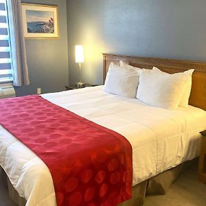 Zimmer mit Kingsize-Bett