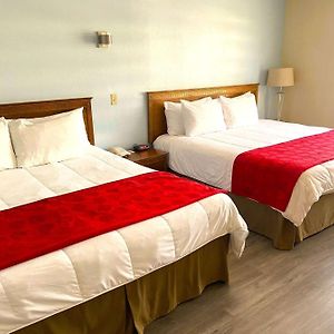 Suite mit 1 Schlafzimmer und mit Kingsize-Bett